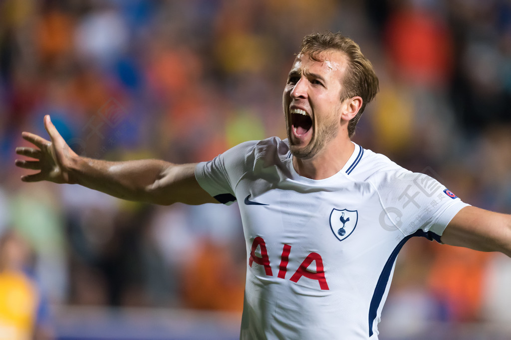 求他在内马